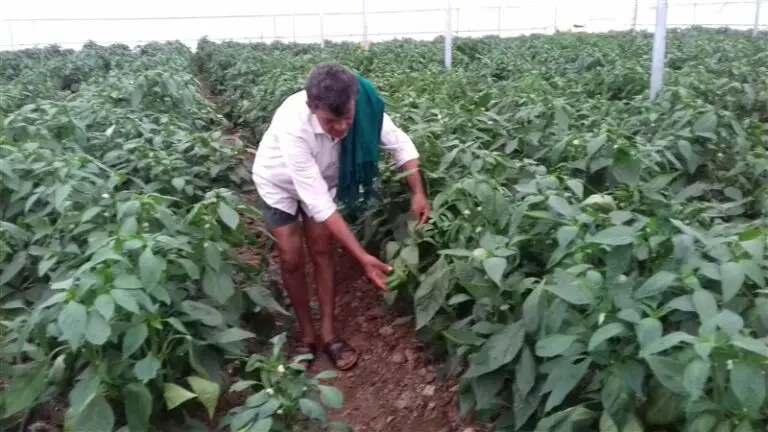 NABARD: Swachch Bharath Abhiyan 3